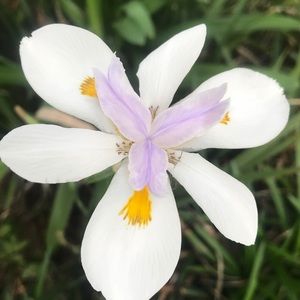 Meet your Posher, Cinda